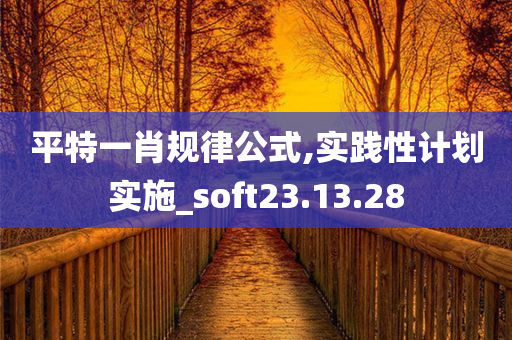 平特一肖规律公式,实践性计划实施_soft23.13.28