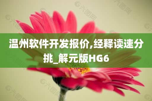 温州软件开发报价,经释读速分挑_解元版HG6