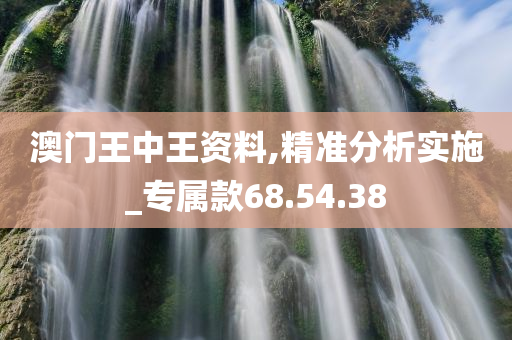 澳门王中王资料,精准分析实施_专属款68.54.38