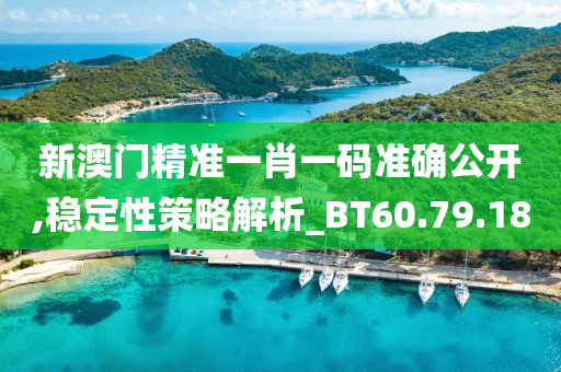 新澳门精准一肖一码准确公开,稳定性策略解析_BT60.79.18