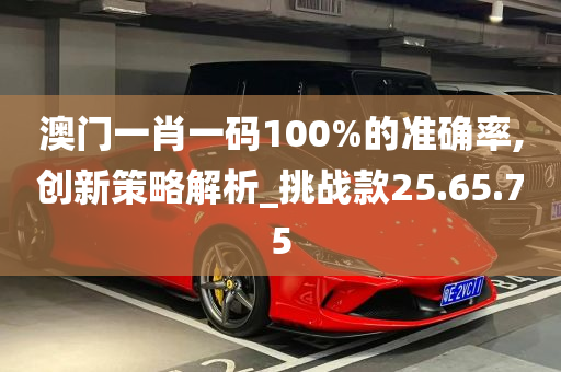 澳门一肖一码100%的准确率,创新策略解析_挑战款25.65.75