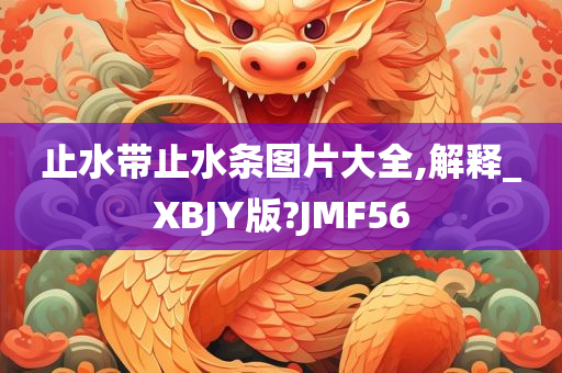 止水带止水条图片大全,解释_XBJY版?JMF56