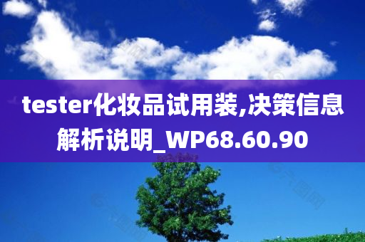 tester化妆品试用装,决策信息解析说明_WP68.60.90