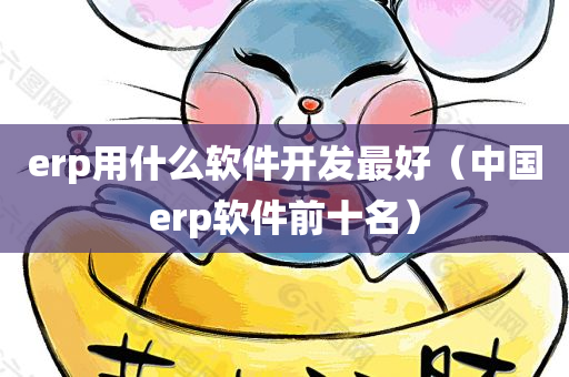 erp用什么软件开发最好（中国erp软件前十名）