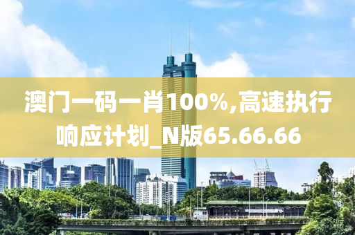 澳门一码一肖100%,高速执行响应计划_N版65.66.66