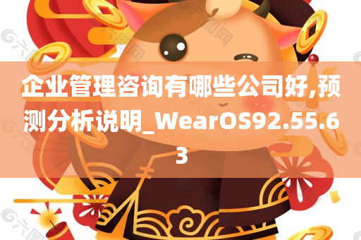 企业管理咨询有哪些公司好,预测分析说明_WearOS92.55.63