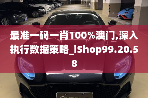 最准一码一肖100%澳门,深入执行数据策略_iShop99.20.58