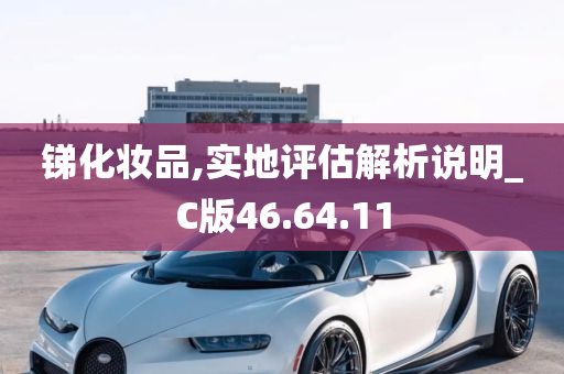 锑化妆品,实地评估解析说明_C版46.64.11