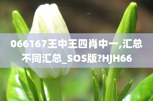 066167王中王四肖中一,汇总不同汇总_SOS版?HJH66