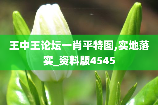 王中王论坛一肖平特图,实地落实_资料版4545