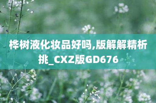 桦树液化妆品好吗,版解解精析挑_CXZ版GD676