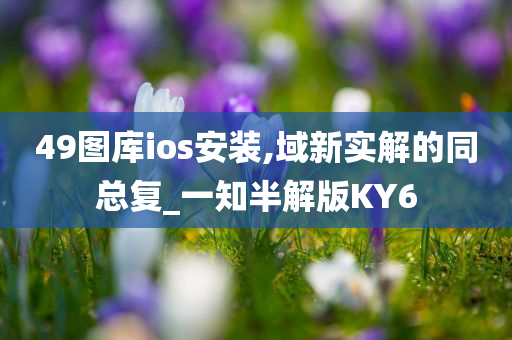 49图库ios安装,域新实解的同总复_一知半解版KY6