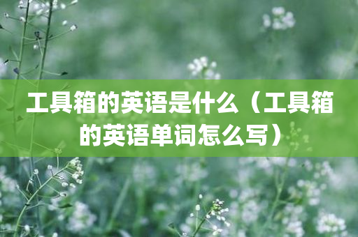 工具箱的英语是什么（工具箱的英语单词怎么写）