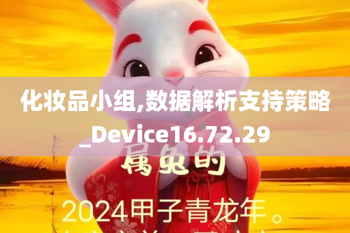 化妆品小组,数据解析支持策略_Device16.72.29