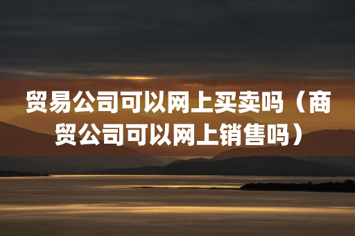 贸易公司可以网上买卖吗（商贸公司可以网上销售吗）