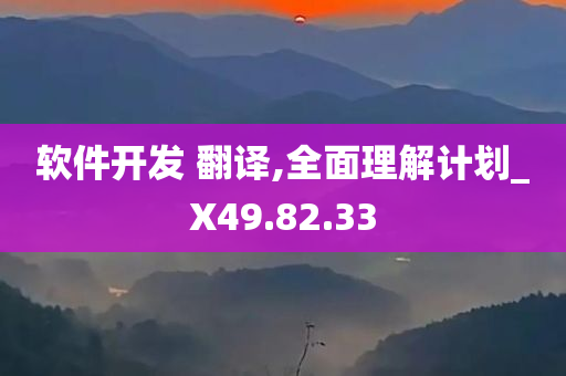 软件开发 翻译,全面理解计划_X49.82.33