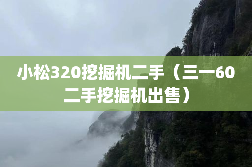 小松320挖掘机二手（三一60二手挖掘机出售）