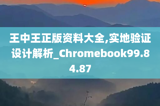 王中王正版资料大全,实地验证设计解析_Chromebook99.84.87