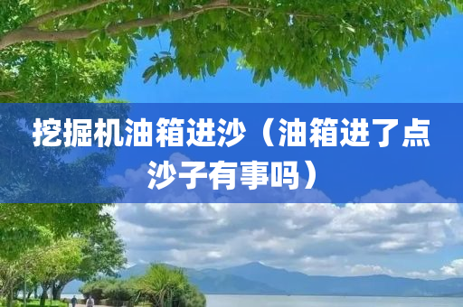 挖掘机油箱进沙（油箱进了点沙子有事吗）