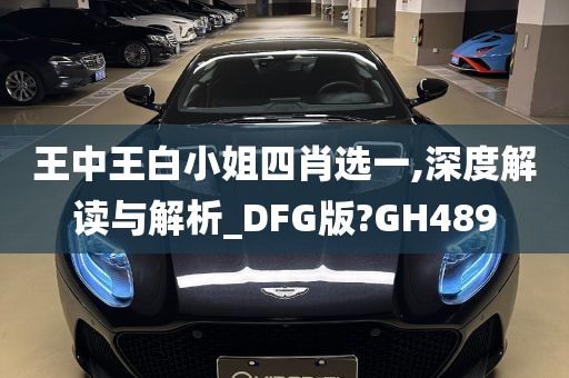 王中王白小姐四肖选一,深度解读与解析_DFG版?GH489