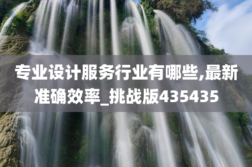 专业设计服务行业有哪些,最新准确效率_挑战版435435