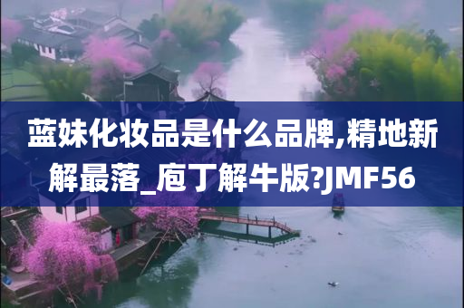 蓝妹化妆品是什么品牌,精地新解最落_庖丁解牛版?JMF56