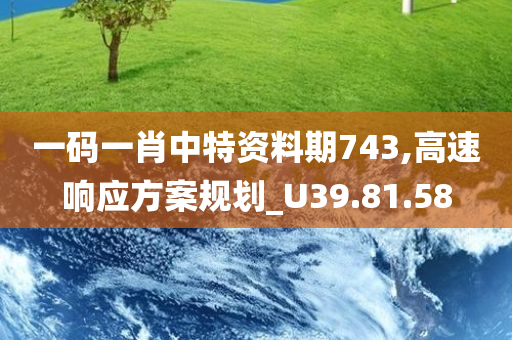 一码一肖中特资料期743,高速响应方案规划_U39.81.58