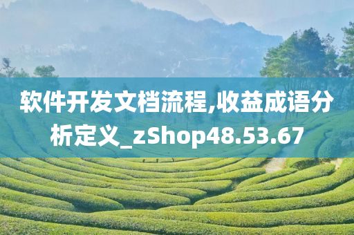 软件开发文档流程,收益成语分析定义_zShop48.53.67