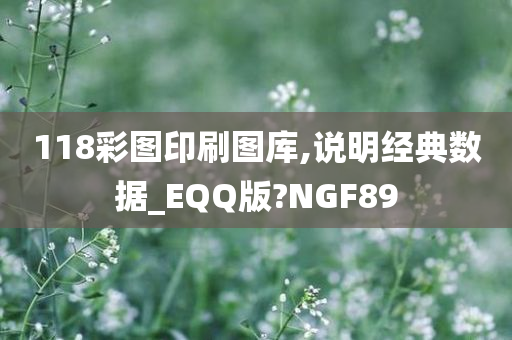 118彩图印刷图库,说明经典数据_EQQ版?NGF89