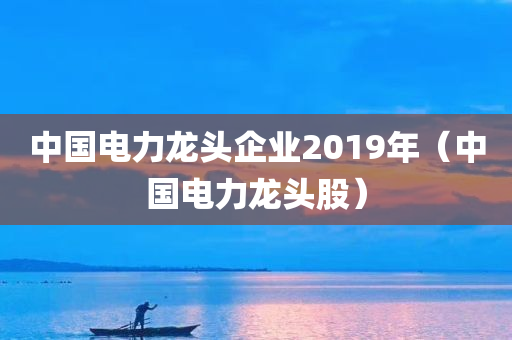 中国电力龙头企业2019年（中国电力龙头股）