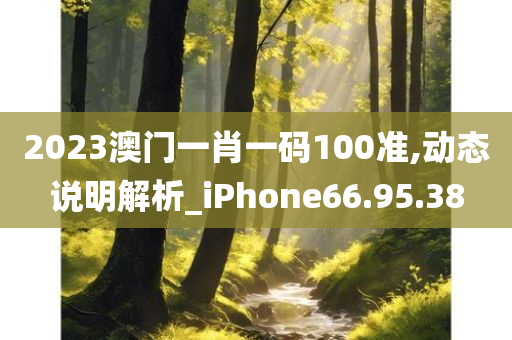 2023澳门一肖一码100准,动态说明解析_iPhone66.95.38