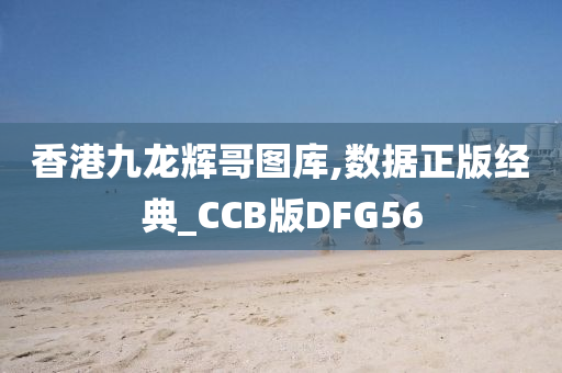 香港九龙辉哥图库,数据正版经典_CCB版DFG56