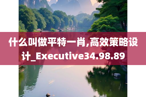 什么叫做平特一肖,高效策略设计_Executive34.98.89