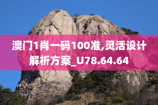 澳门1肖一码100准,灵活设计解析方案_U78.64.64