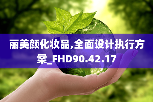 丽美颜化妆品,全面设计执行方案_FHD90.42.17