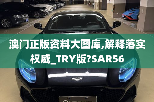 澳门正版资料大图库,解释落实权威_TRY版?SAR56