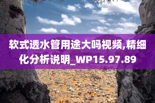 软式透水管用途大吗视频,精细化分析说明_WP15.97.89