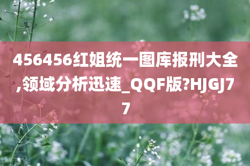 456456红姐统一图库报刑大全,领域分析迅速_QQF版?HJGJ77