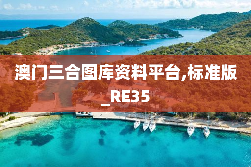 澳门三合图库资料平台,标准版_RE35