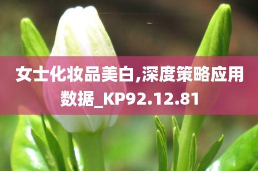 女士化妆品美白,深度策略应用数据_KP92.12.81