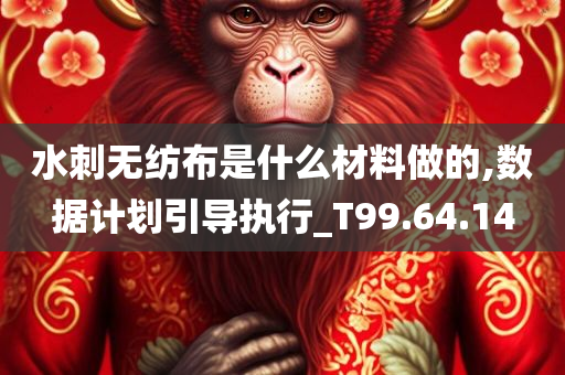 水刺无纺布是什么材料做的,数据计划引导执行_T99.64.14