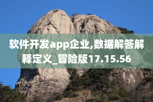 软件开发app企业,数据解答解释定义_冒险版17.15.56