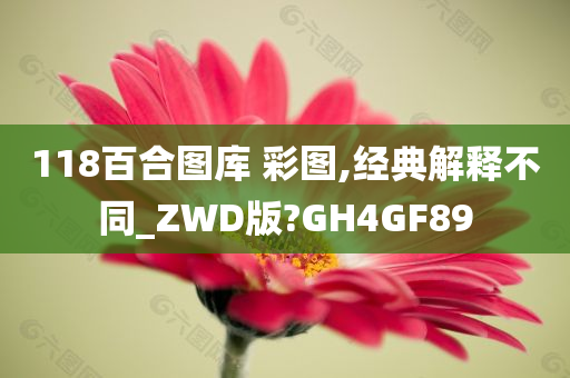 118百合图库 彩图,经典解释不同_ZWD版?GH4GF89