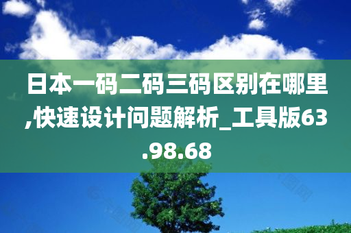 日本一码二码三码区别在哪里,快速设计问题解析_工具版63.98.68