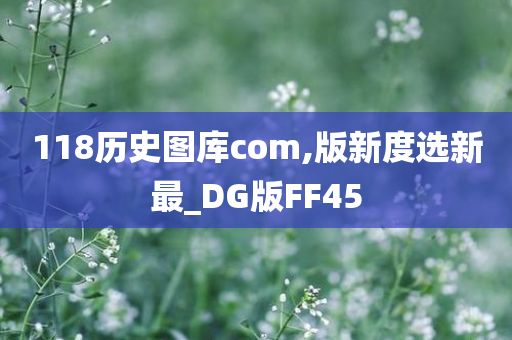 118历史图库com,版新度选新最_DG版FF45