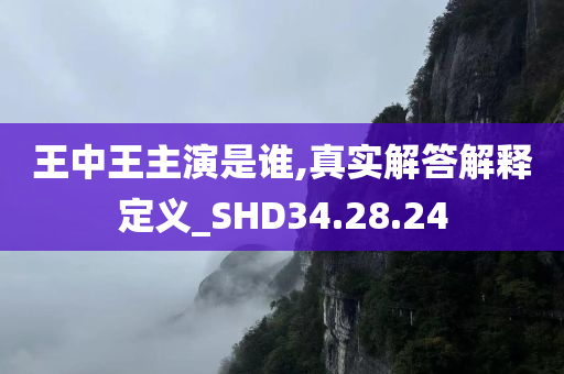 王中王主演是谁,真实解答解释定义_SHD34.28.24