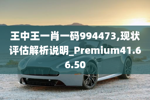 王中王一肖一码994473,现状评估解析说明_Premium41.66.50