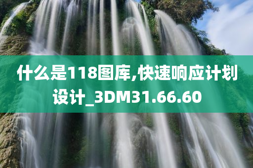 什么是118图库,快速响应计划设计_3DM31.66.60