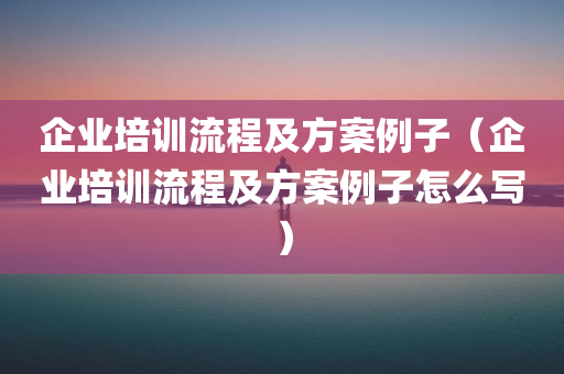 企业培训流程及方案例子（企业培训流程及方案例子怎么写）