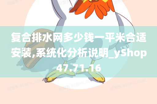 复合排水网多少钱一平米合适安装,系统化分析说明_yShop47.71.16